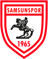 Samsunspor logo