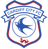 Cardiff City logo