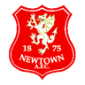 Newtown AFC-logo