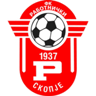 FK Rabotnicki-logo