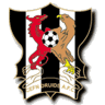 Cefn Druids AFC-logo