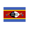 Swaziland logo