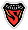 Pohang Steelers logo