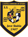 SS Juve Stabia-logo