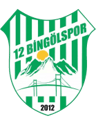 12 Bingol Spor-logo
