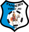 Pandurii Targu Jiu-logo