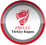 Turkish Cup crest