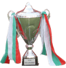 Bulgarian Cup-logo