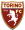 Torino Logo